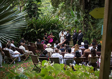Evelyn's Wedding