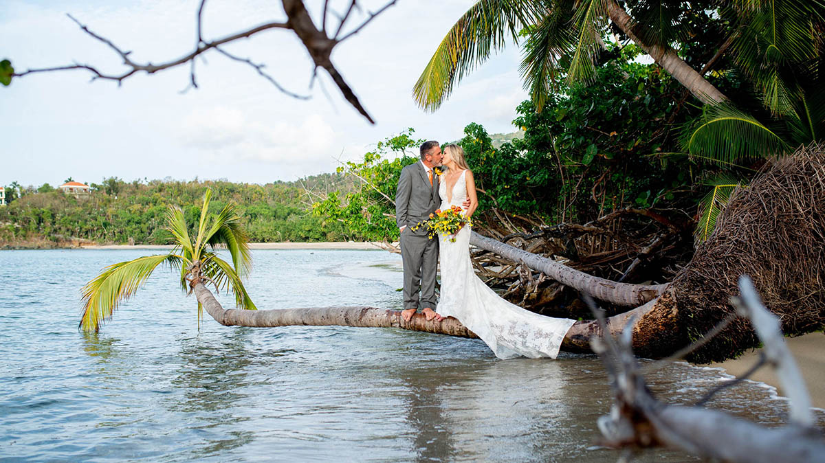 Married couple kissing barefoot on a palm tree overhanging the beautiful waters of St. Thomas.