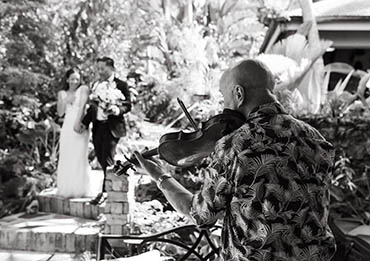 Loving couple kissing on a palm tree overhanging the water in St. Thomas USVI.