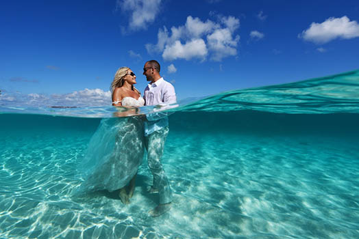 Love For Water on St. John - Blue Glass Photography 012 Close-up of crystal seahorse wedding cake topper.